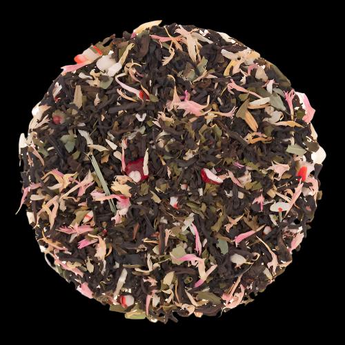 Candy Cane Burst - Seasonal