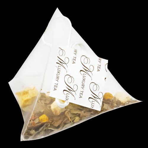 Focus Pocus - Memory