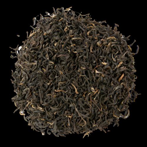 Gingia