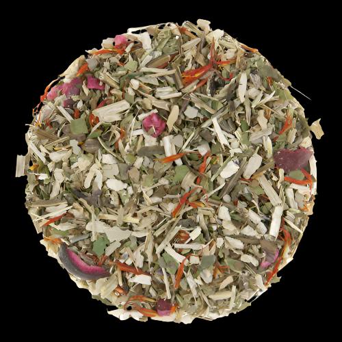 Cranberry Echinacea